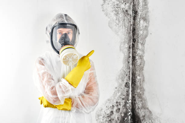 Best Biohazard Mold Removal  in West Chatham, MA